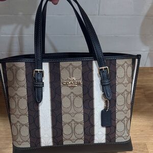 Coach Brown and Cream Striped Tote
